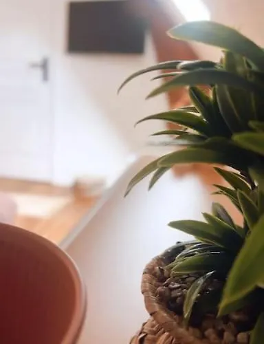 度假居 Maison Octavilla Octeville-sur-Mer